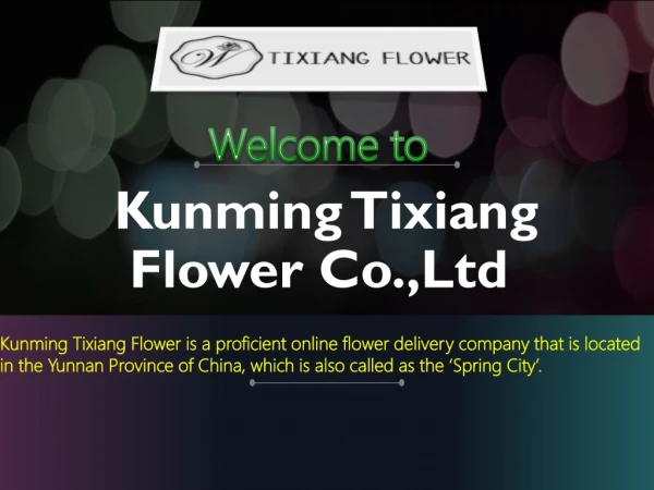 Fresh Cut Flowers - Kunming Tixiang Flower Co.,Ltd