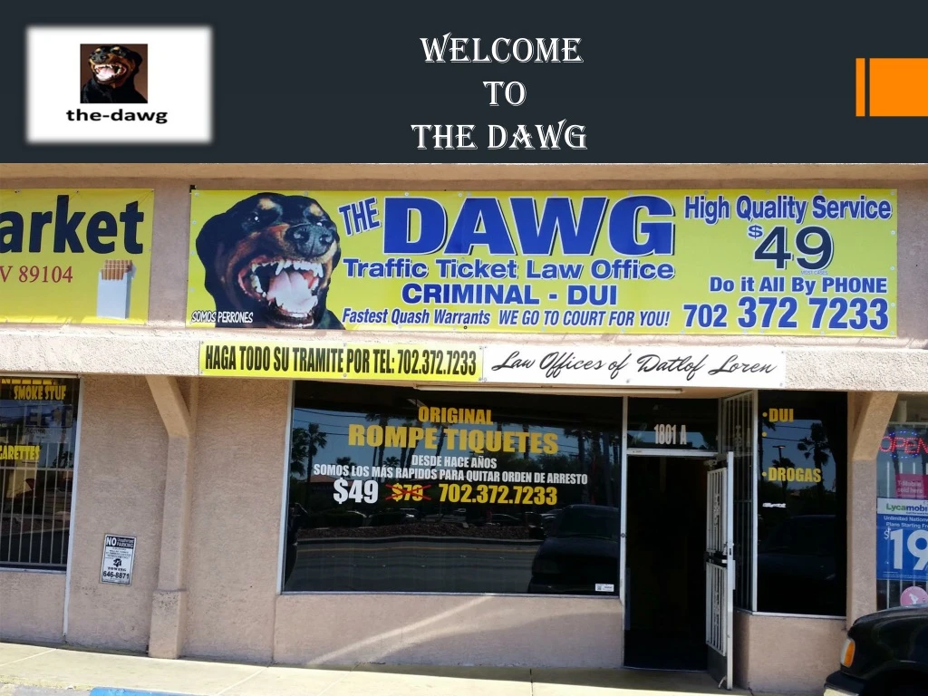welcome to the dawg