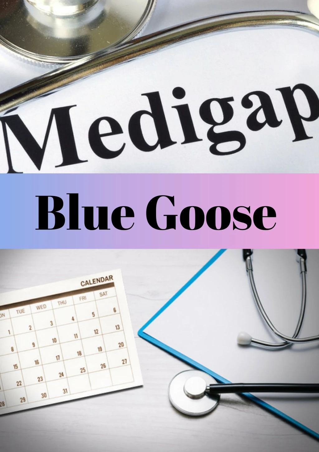 blue goose