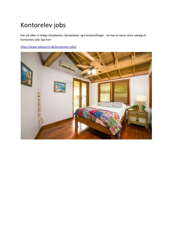kontorelev jobs