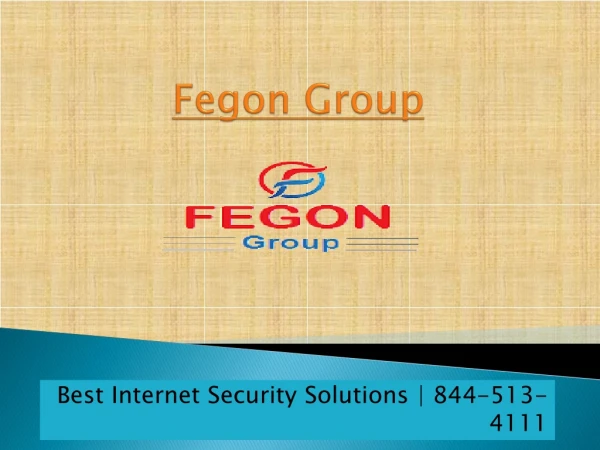 fegon group