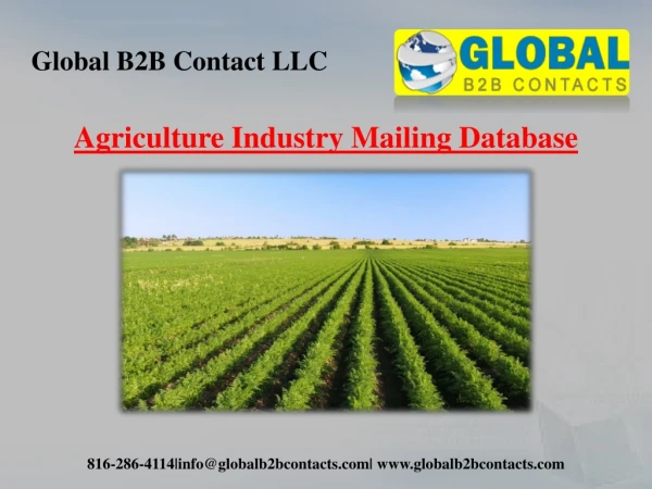 global b2b contact llc