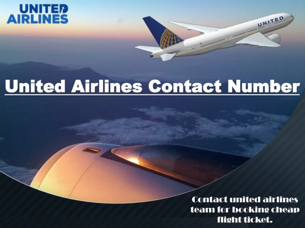 United Airlines Contact Number – Get Instantly Help