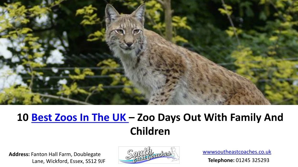 10 best zoos in the uk zoo days out with family