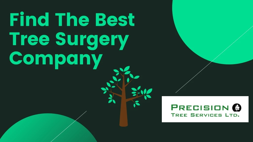 find the best tree surgery company