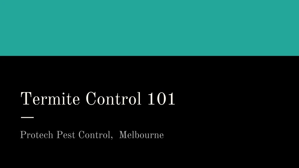 termite control 101