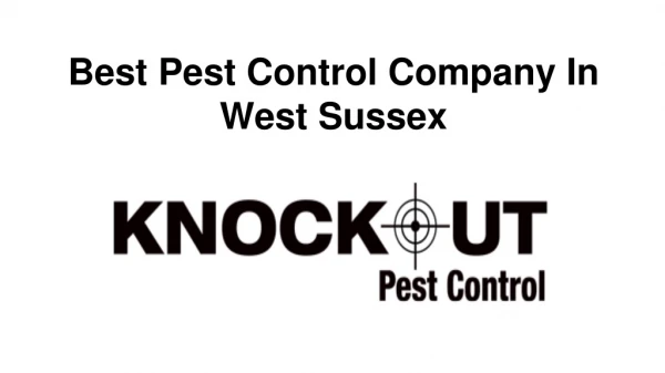 Best Pest Control Company In West Sussex