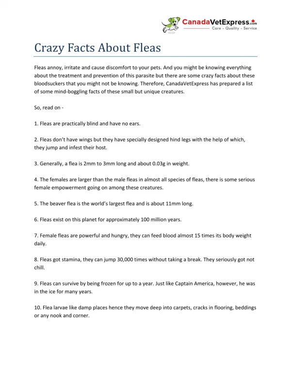 Crazy Facts About Fleas - CanadaVetExpress