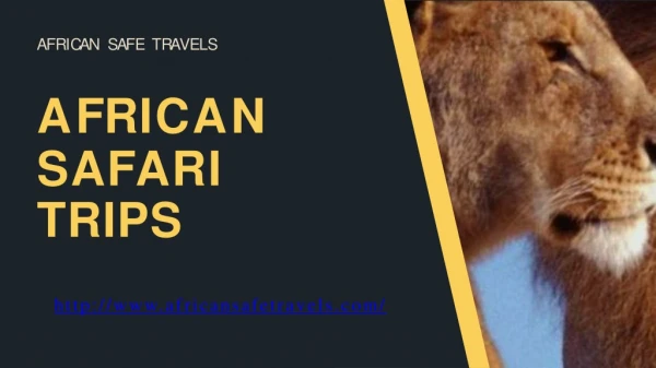 Find best African safari trips packages in Kenya- African safe travels