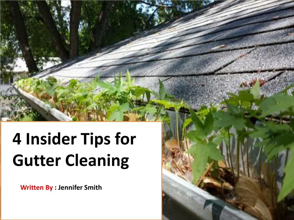 4 insider tips for gutter cleaning