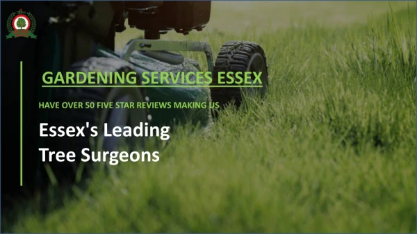 Garden Maintenance Services Rochford | Gardeners in Essex