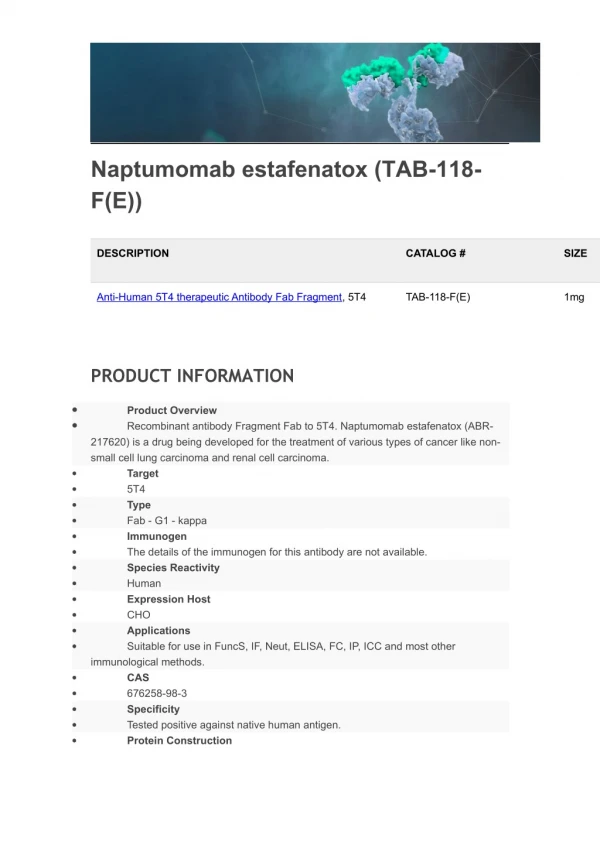 Anti-Human 5T4 therapeutic Antibody Fab Fragment, 5T4, Naptumomab estafenatox - Creative Biolabs