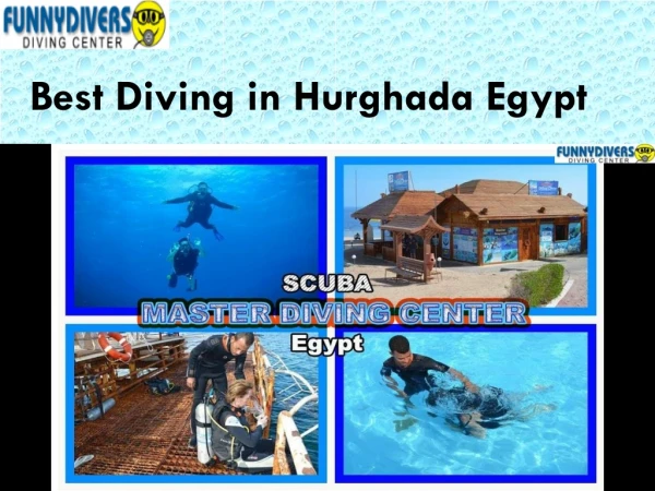 Padi Diving center Services in Hurghada