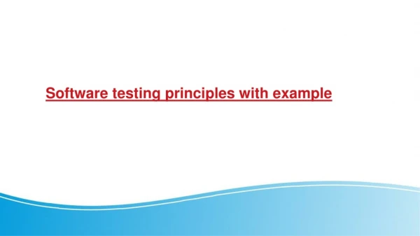 Software testing principles with example