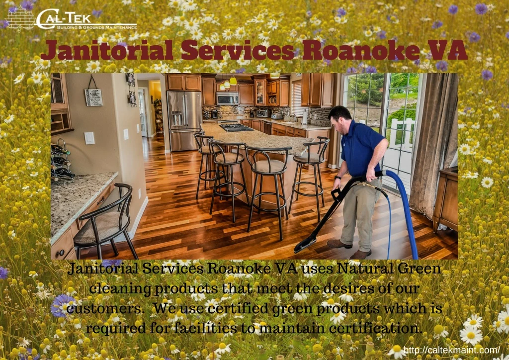 janitorial services roanoke va