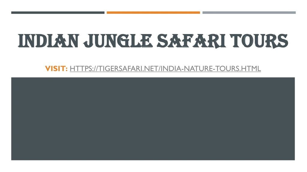 indian jungle safari tours