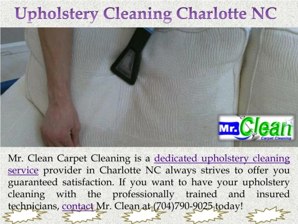 Charlotte Upholstery Cleaning Services