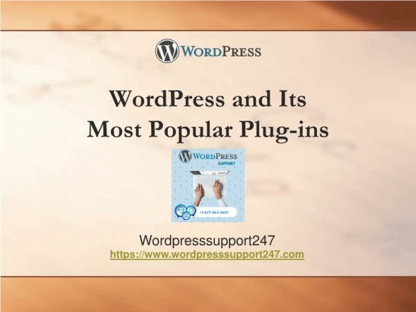 WordPress and Its most popular plugin