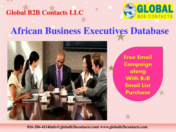 African Business Executives Database