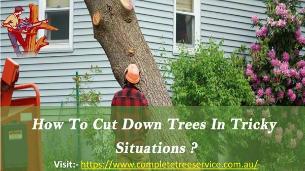 How To Cut Down Trees In Tricky Situations?