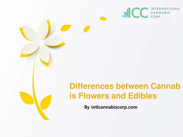 Differences between Cannabis Flowers and Edibles