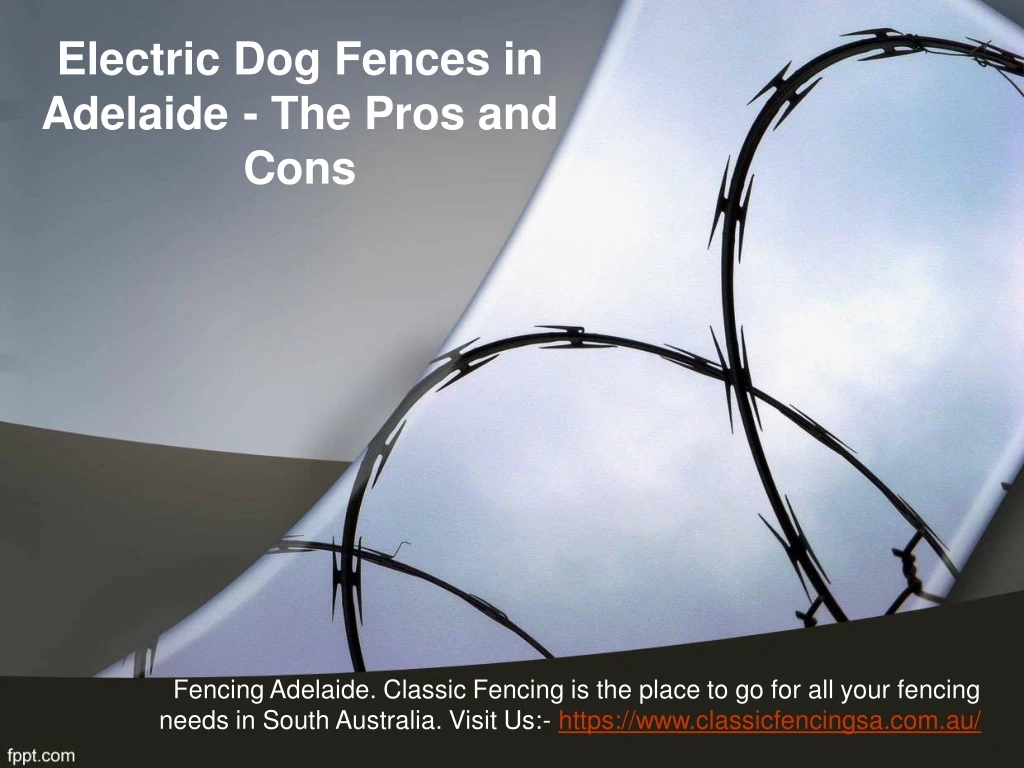 electric dog fences in adelaide the pros and cons