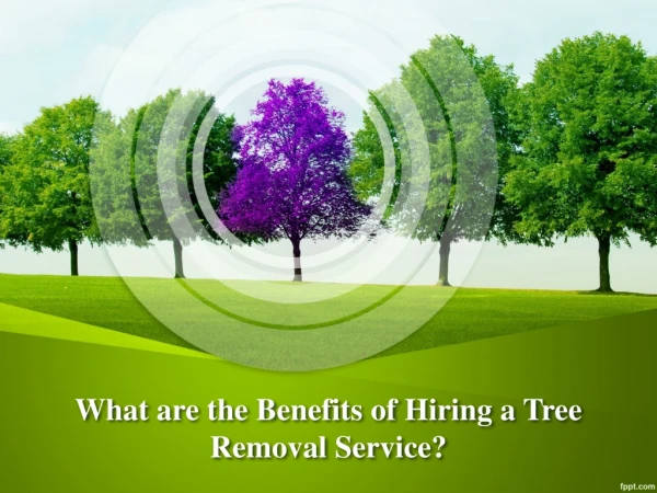 What are the Benefits of Hiring a Tree Removal Service?