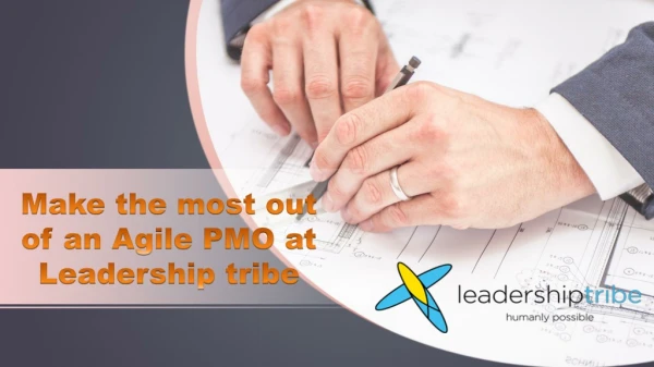 Make the most out of an Agile PMO at Leadership tribe