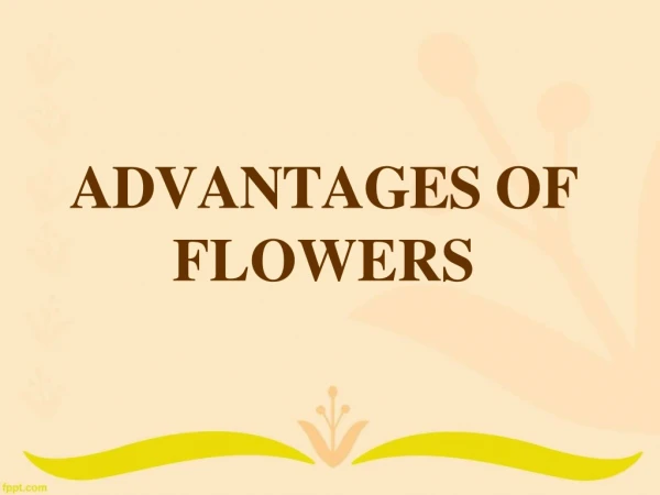 Advantages of flowers