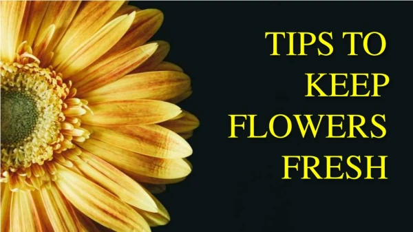 Tips to keep flowers fresh