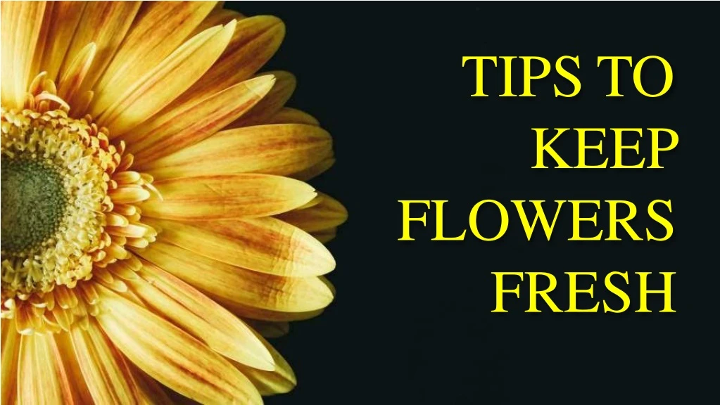 tips to keep flowers fresh
