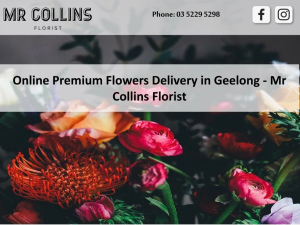 Online Premium Flowers Delivery in Geelong - Mr Collins Florist
