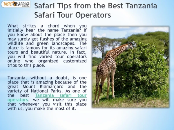 Customize your Holiday with the Best Travel Agency in Tanzania