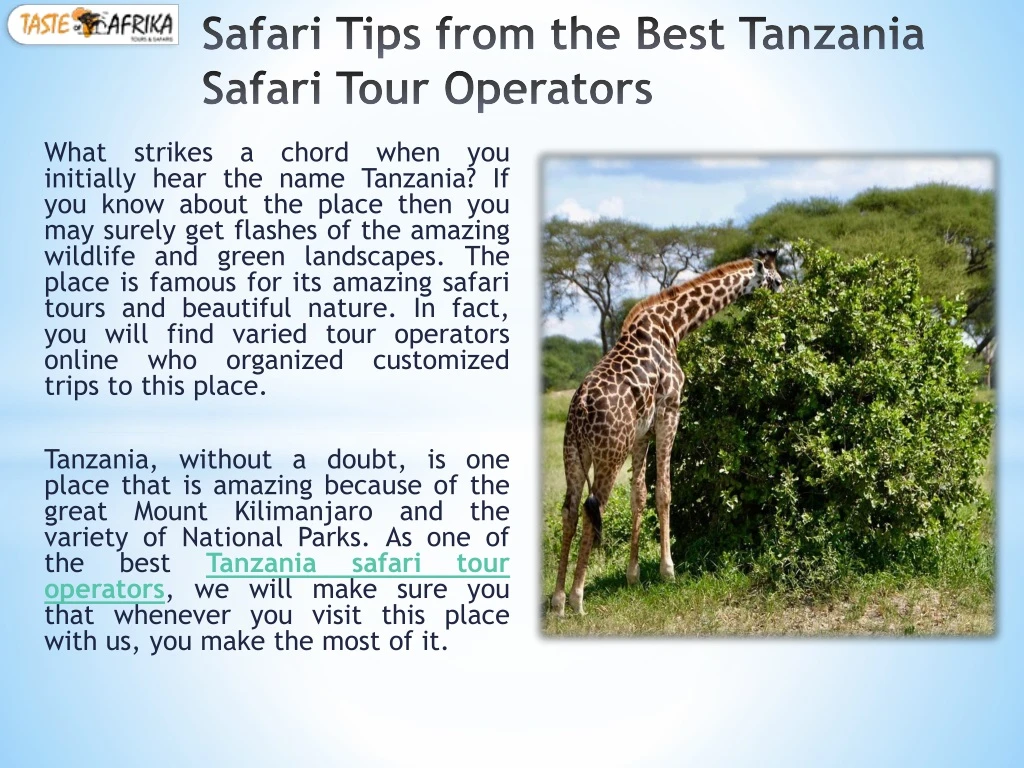 safari tips from the best tanzania safari tour operators