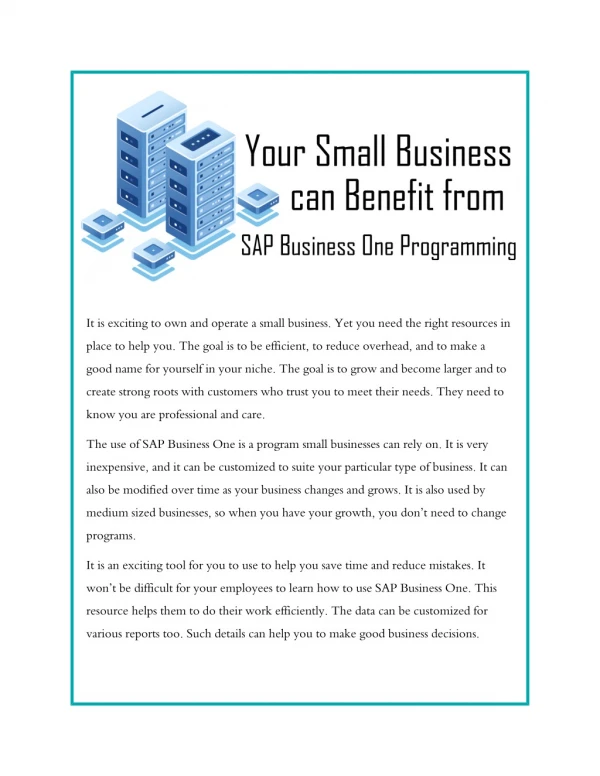 Your Small Business can Benefit from SAP Business One Programming