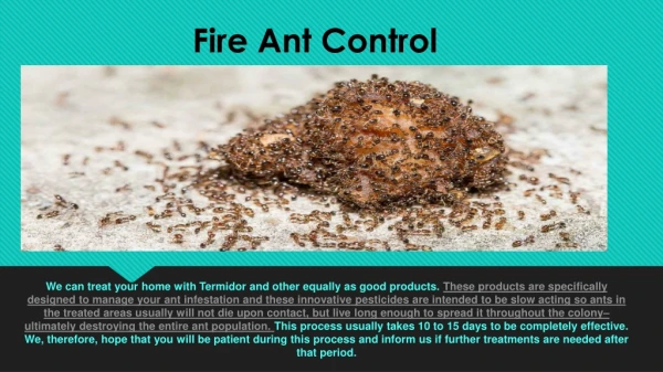 Fire Ant Control