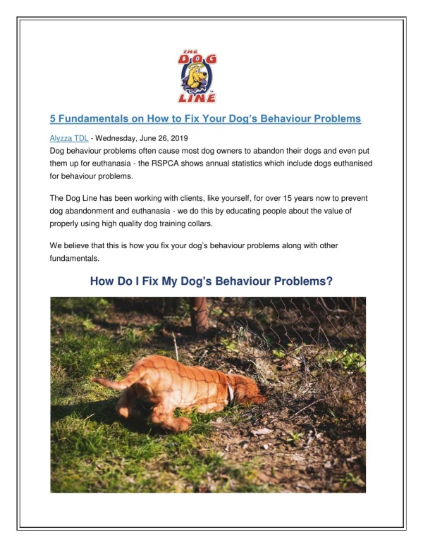 5 Fundamentals on How to Fix Your Dog’s Behaviour Problems|The Dog Line