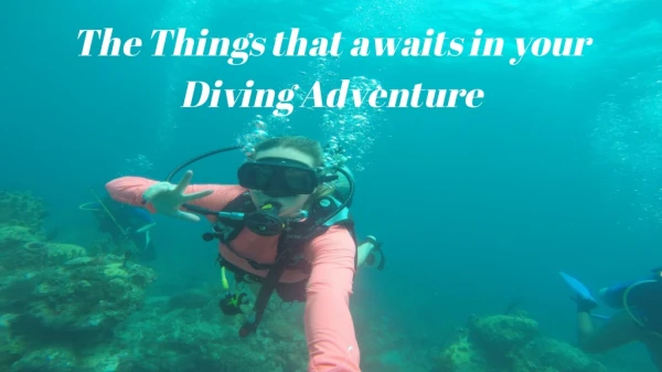 The Things that awaits in your Diving Adventure