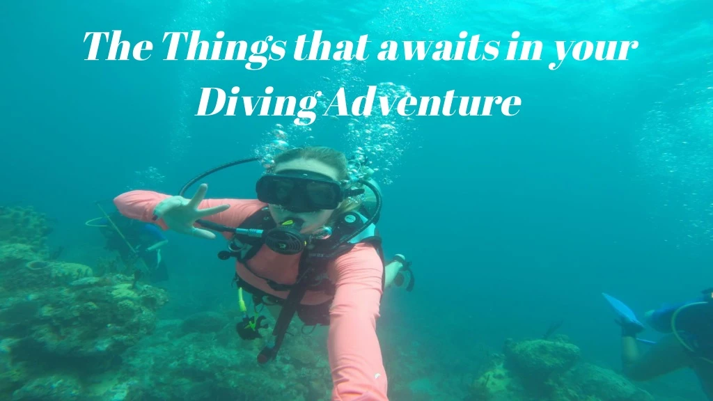 the things that awaits in your diving adventure