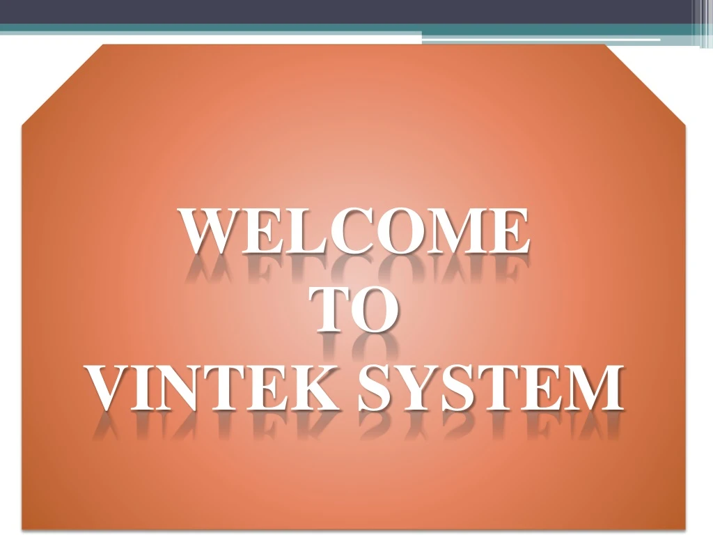 welcome to vintek system