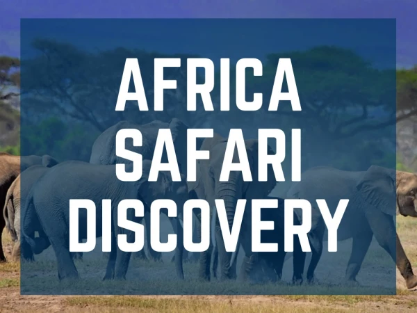 kenya and tanzania safari