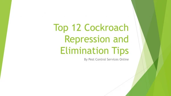 Top 12 tips to organic pest control for cockroaches