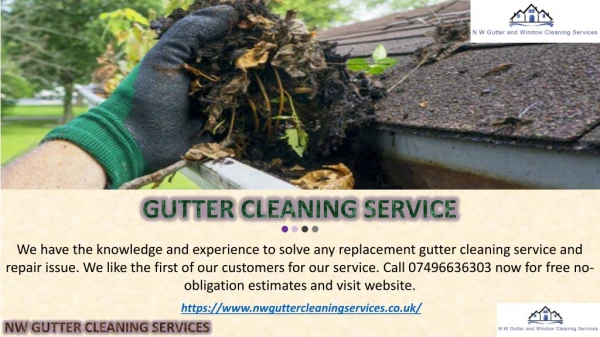 NW Gutter Cleaning Service