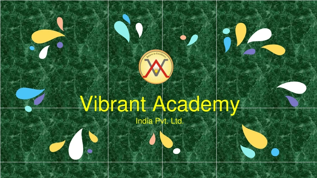 vibrant academy india pvt ltd