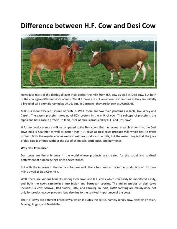 Difference between H.F. Cow and Desi Cow | GFO Farming