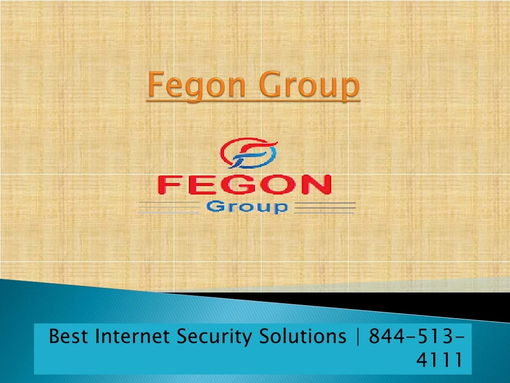 fegon group