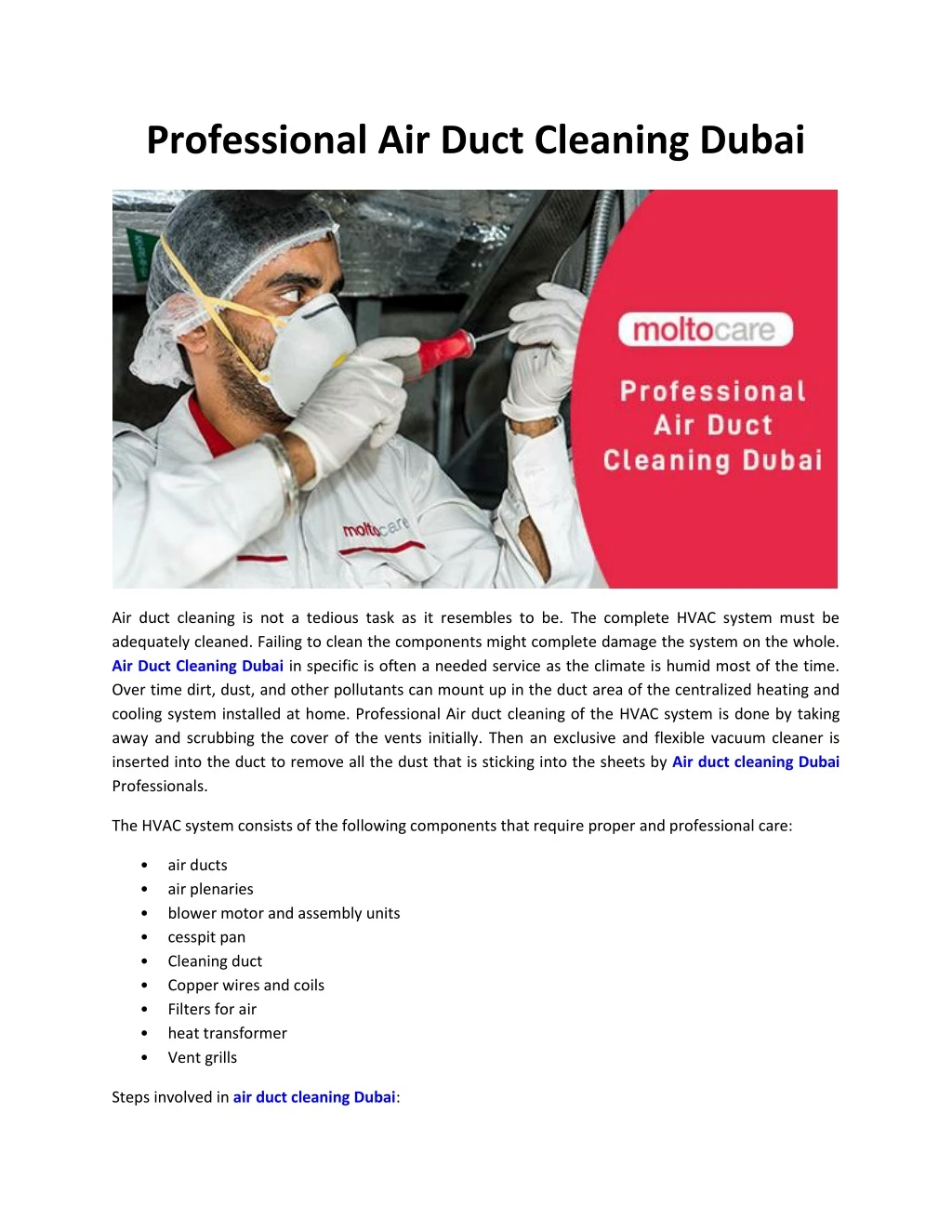 professional air duct cleaning dubai
