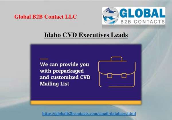 idaho cvd executives leads