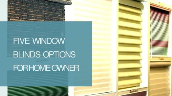 Five window blinds options for home owner