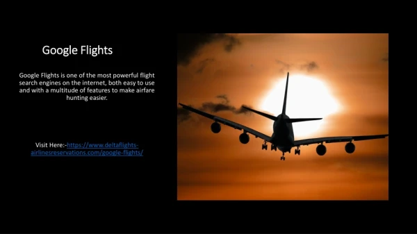 Google Flights | Google Flight